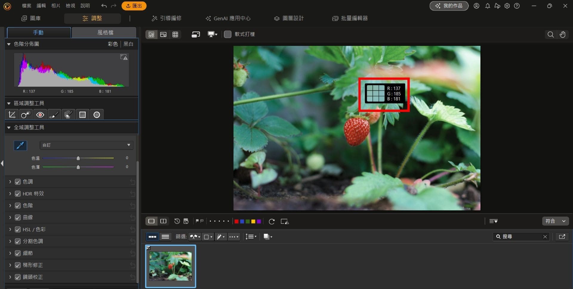 白平衡校正工具：相片大師
