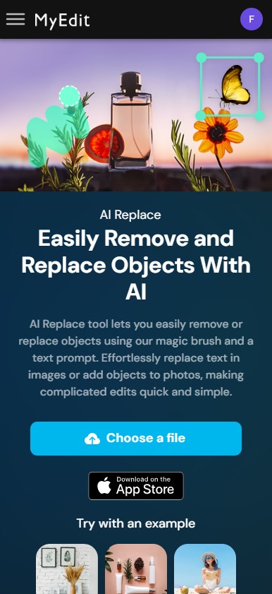 MyEdit - AI replace to change clothes to lingerie step 1