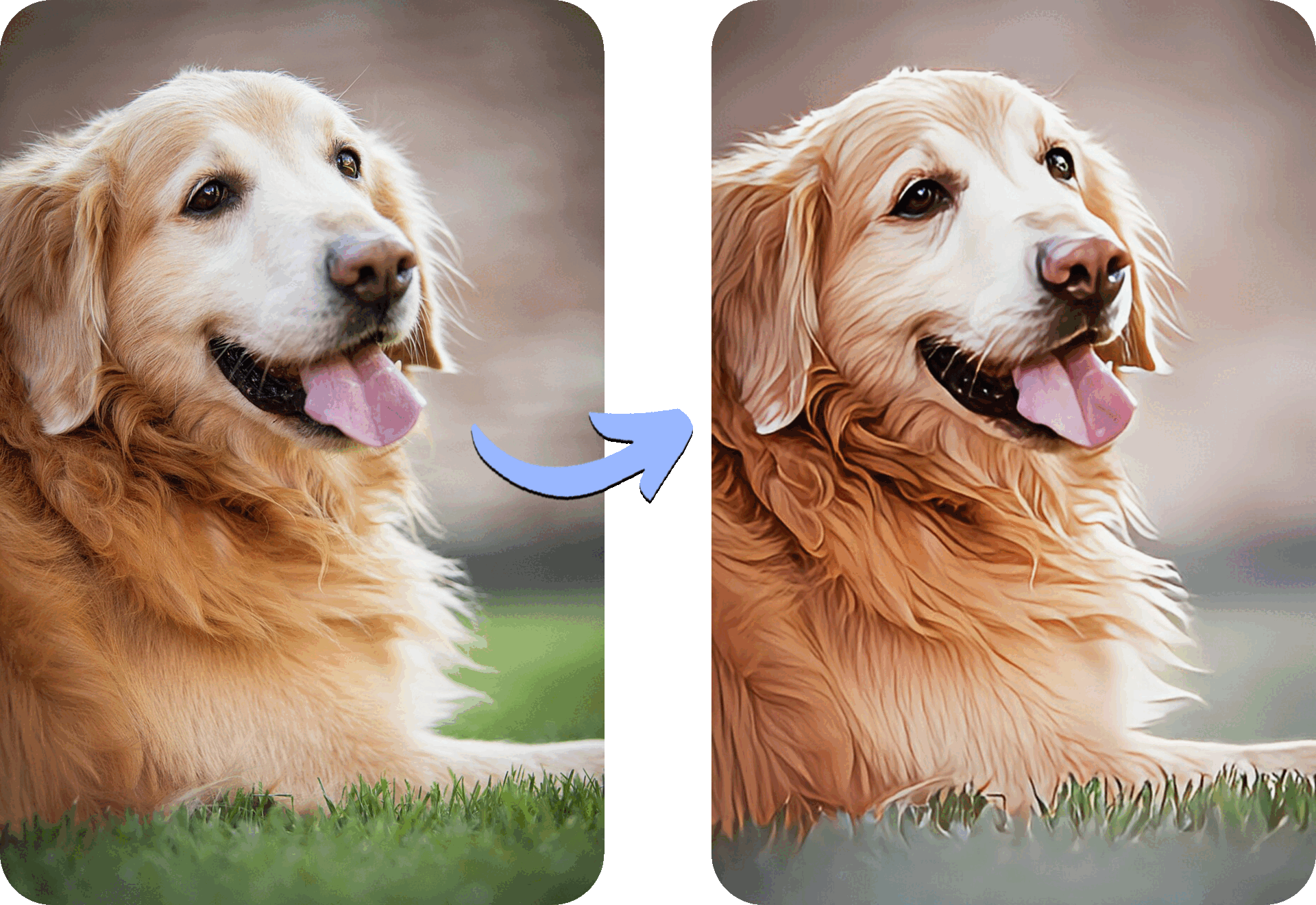 Use MyEdit to Cartoonize Your Pet