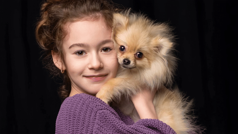 How to Use MyEdit to Create Pet Cartoon Videos