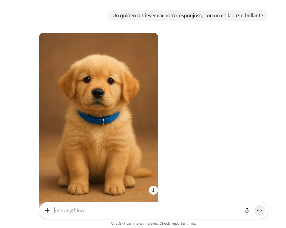 5 ingredientes esenciales