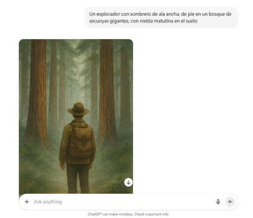 5 ingredientes esenciales