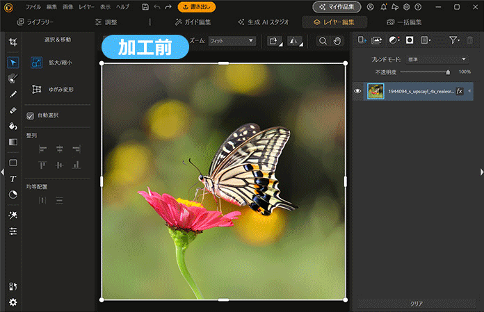 色反転 PC 版 PhotoDirector サンプル