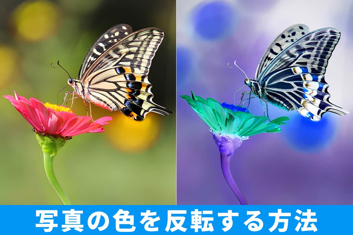 色反転する方法とおすすめアプリソフト【無料】