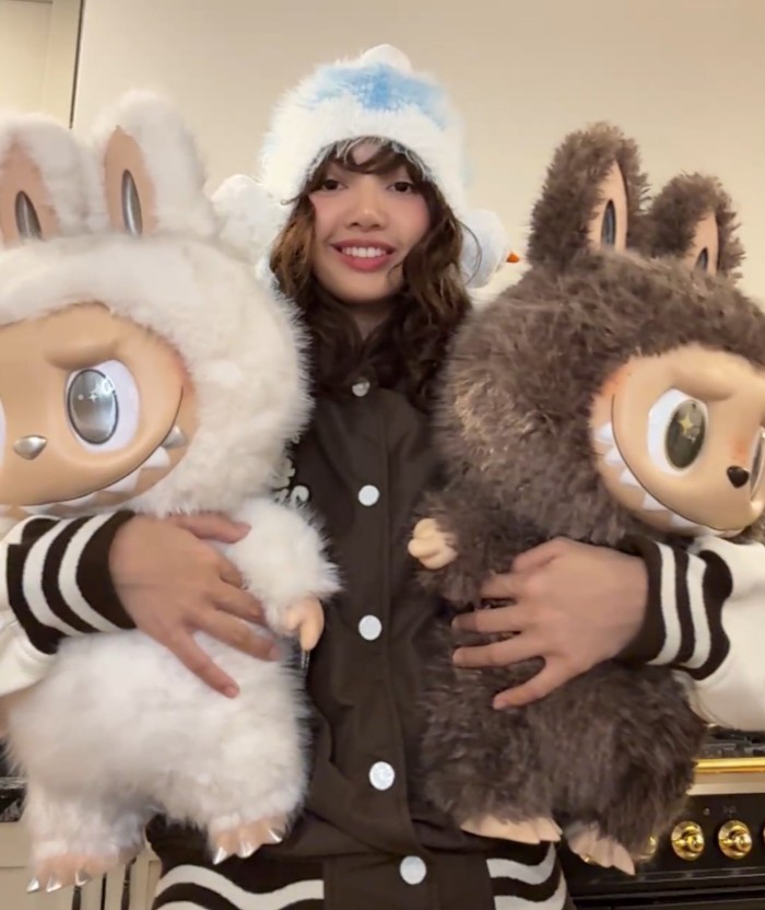 Labubu 紅什麼?Lisa抱著Zimomo