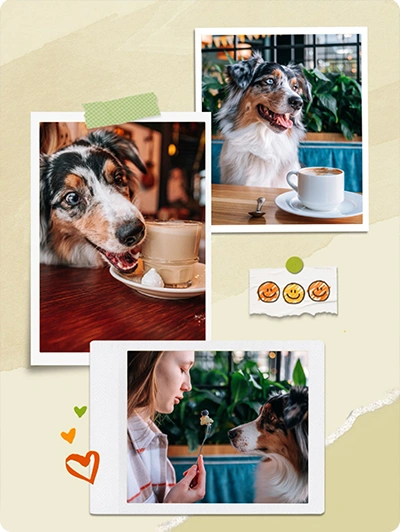 phd-app-collage-example