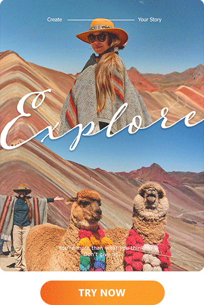 phd-app-multiple-collage-examples