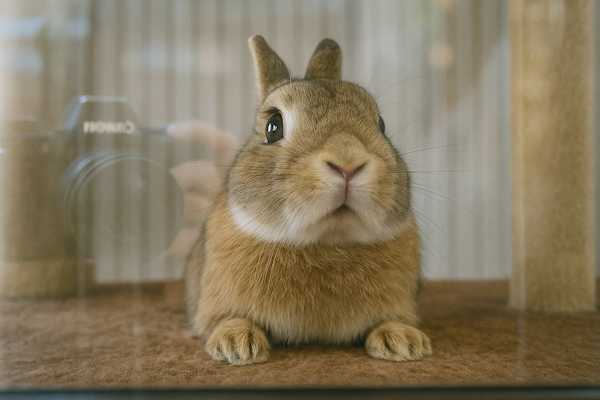 モバイル版 PhotoDirector 編集 反射消す サンプル