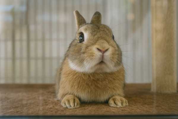 モバイル版 PhotoDirector 反射消す サンプル 適用後