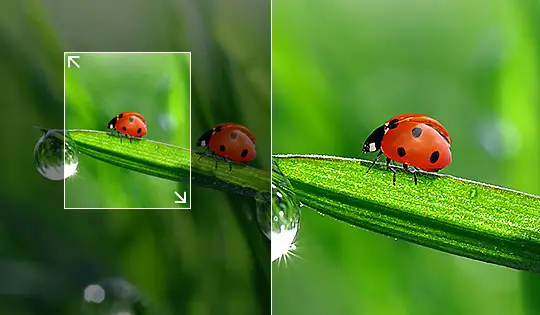 How to Increase Picture Resolution with AI Online