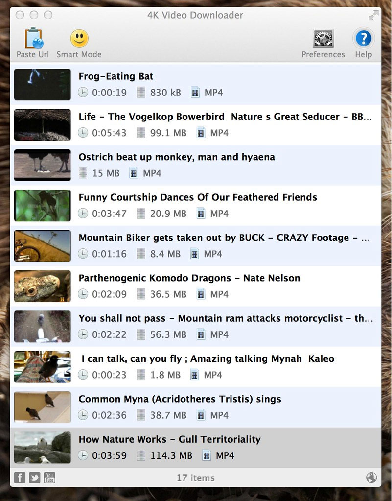 4K Video Downloade interface