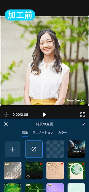 PowerDirector 背景除去 & 入れ替え