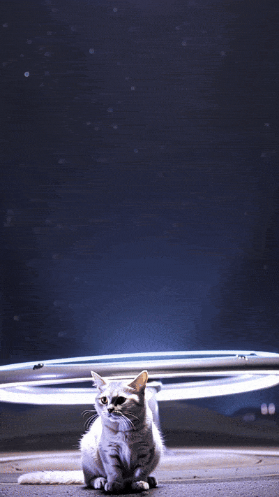 Video de gatos raptados por aliens generado con MyEdit