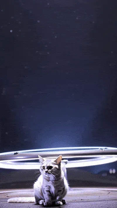 Video de gatos raptados por aliens generado con MyEdit