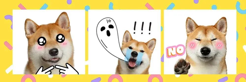 Memes erstellen mit der besten Foto-Editor-App