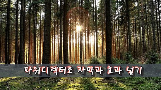 동영상에 자막 넣고 효과 적용까지 한방에 하기!