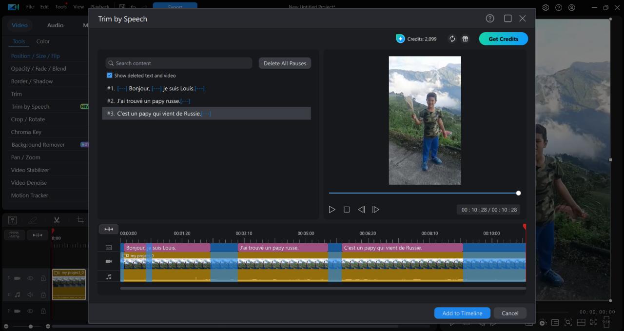 PowerDirector Interface