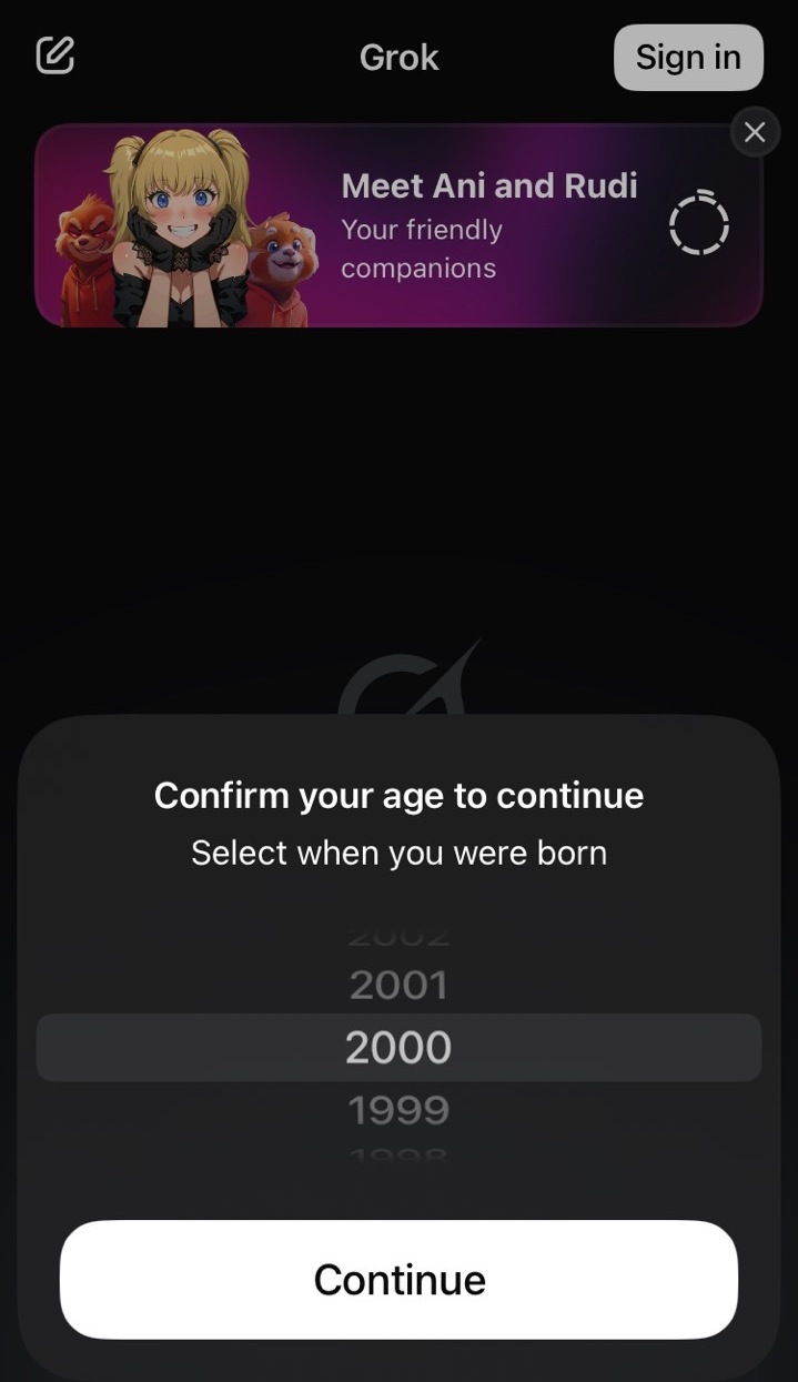 Grok Ani Altersbestätigung