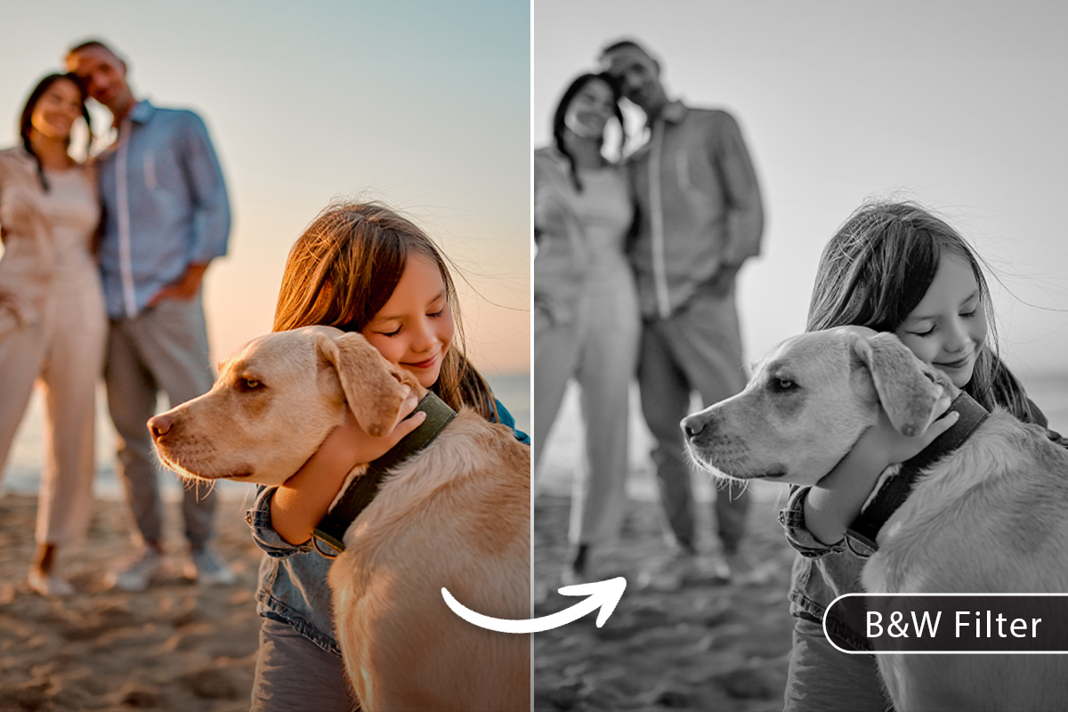 Free Black and White Filter: How to Make a Photo Black and White