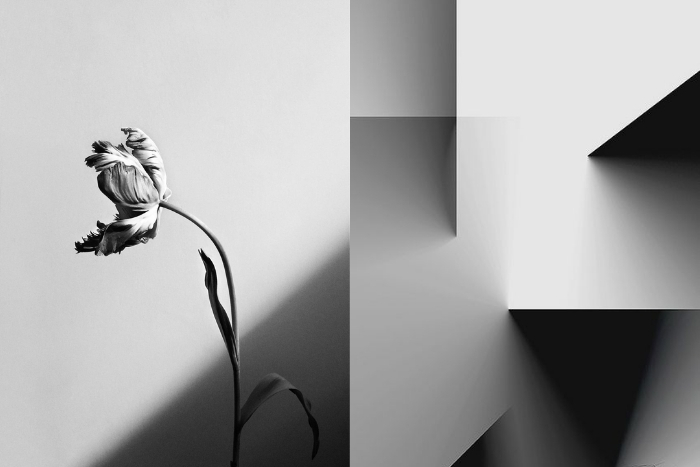 How to Make a Photo Black and White