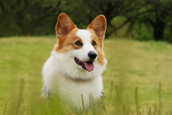 Nano bananaの使い方スタイル別活用シーンフィギュアの元画像