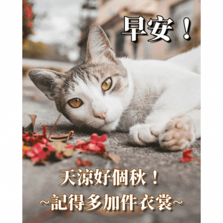 秋天早安圖免費下載