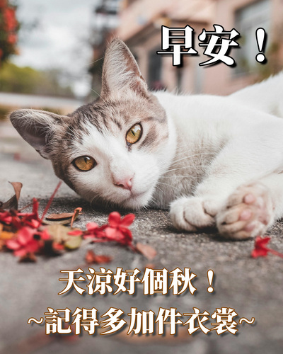 秋天早安圖下載