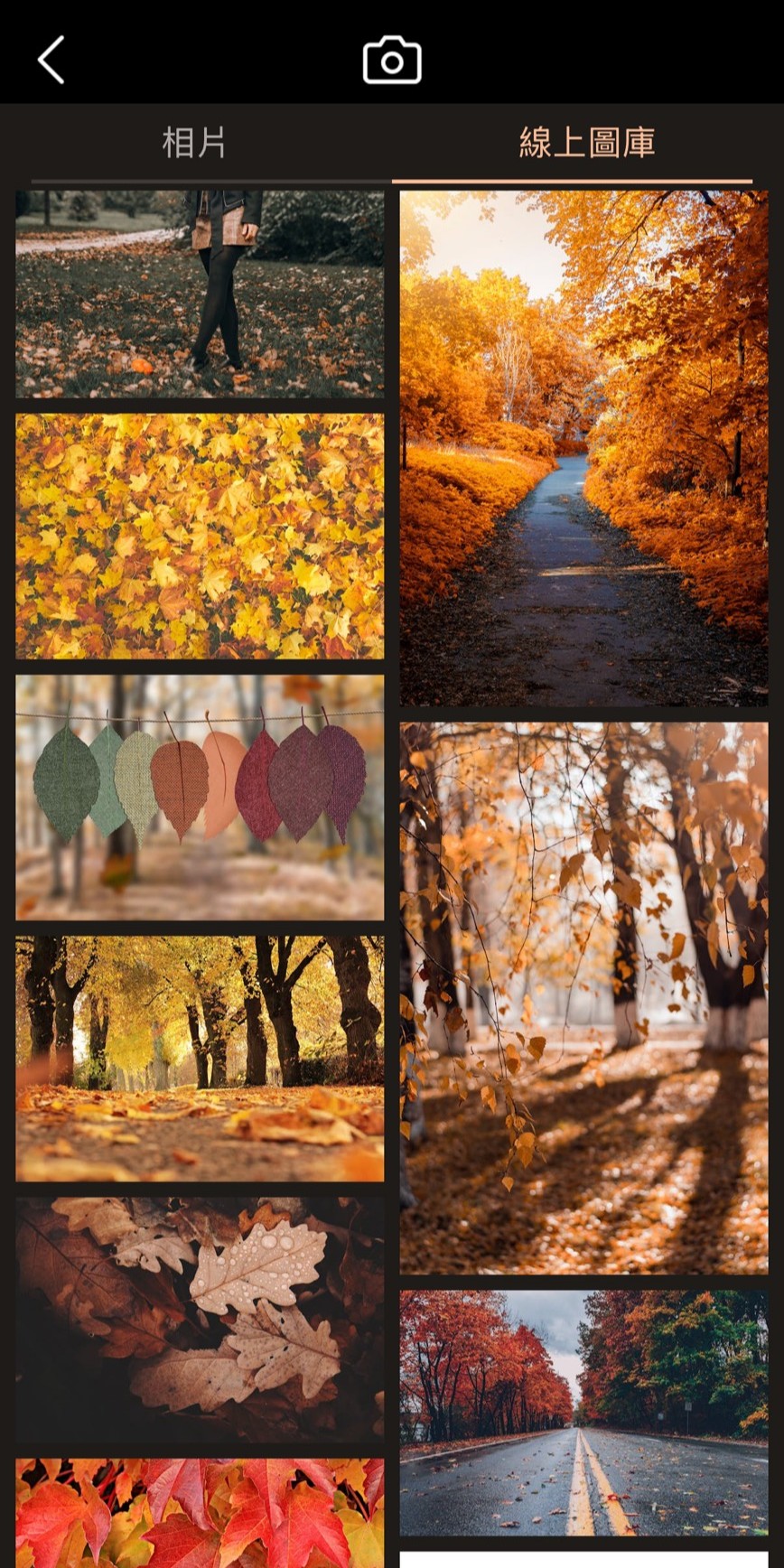 長輩圖產生器長輩圖背景素材