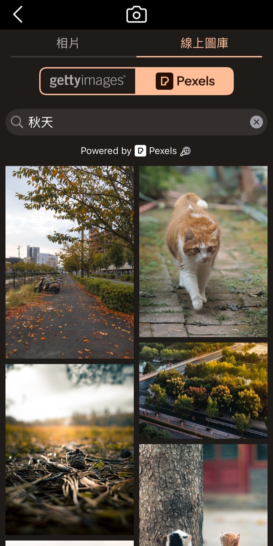 長輩圖產生器長輩圖背景素材