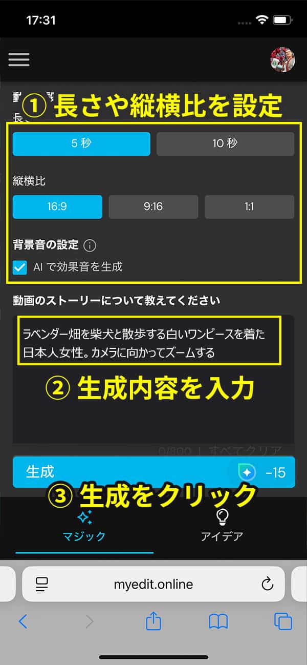 Sora プロンプトの入力