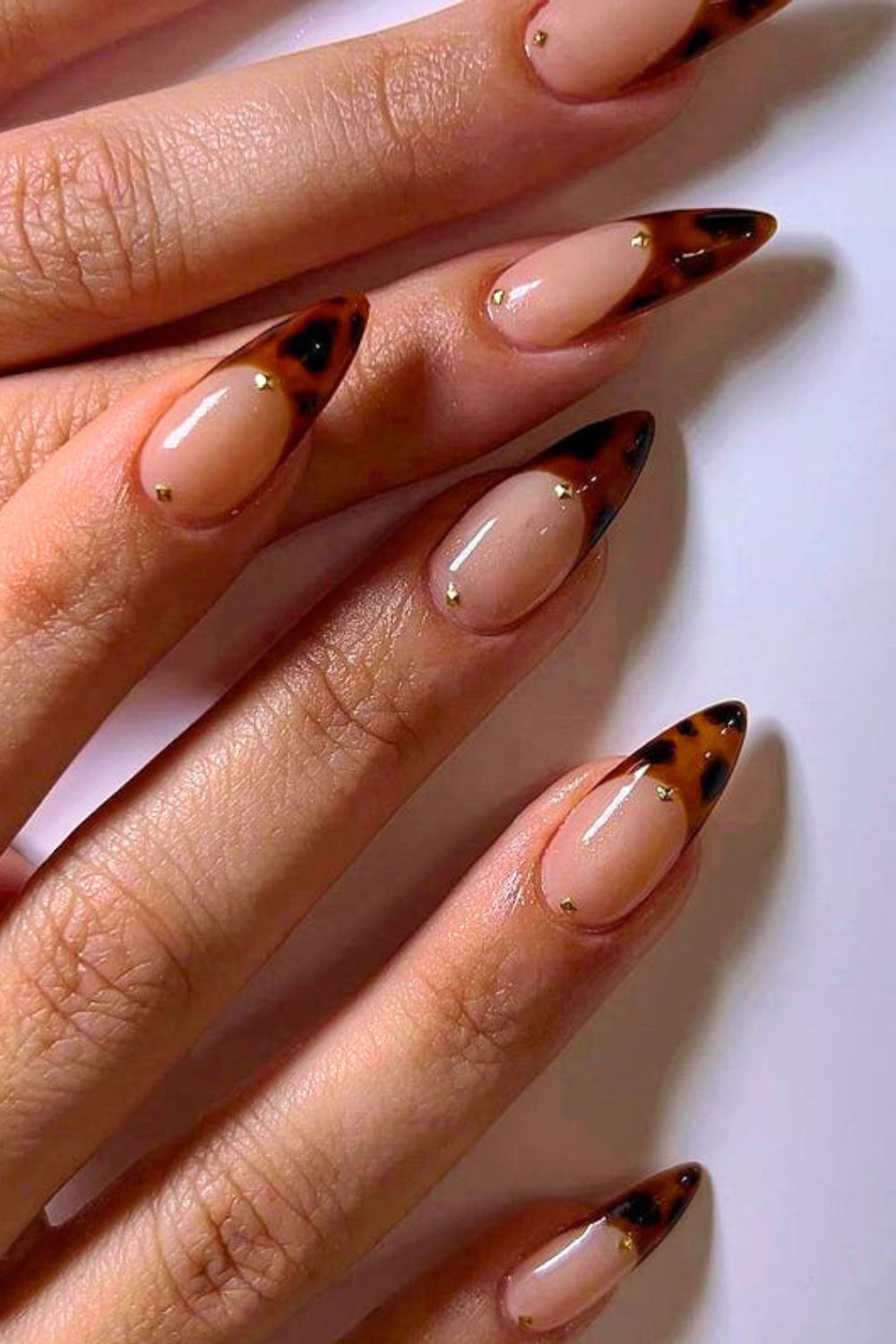 Tortoiseshell French