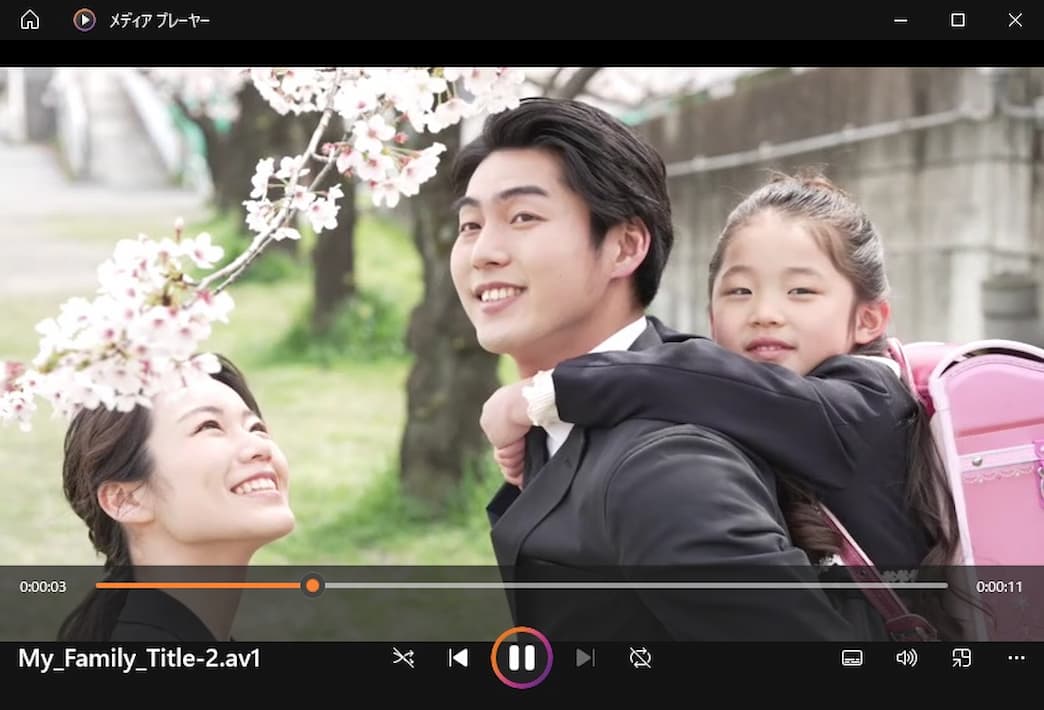 AV1の使用方法説明画面