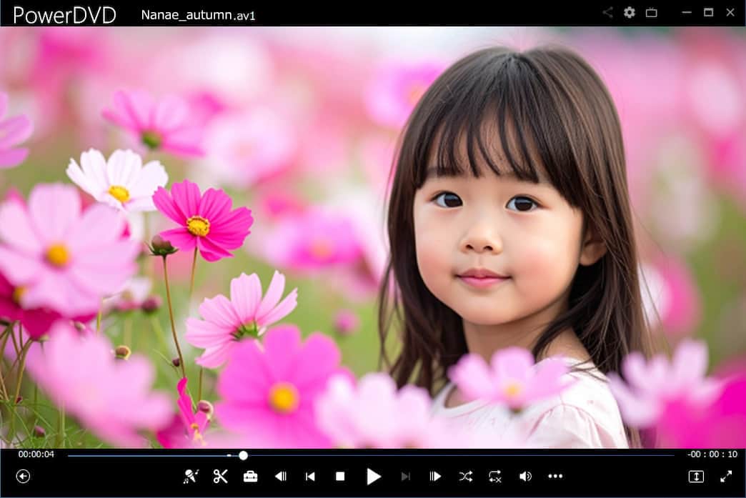 AV1の使用方法説明画面