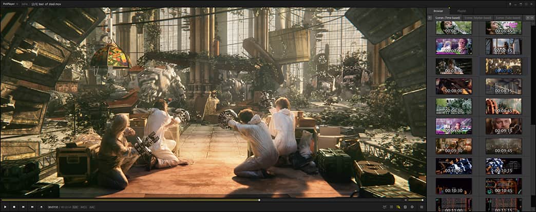 pot player サンプル画像