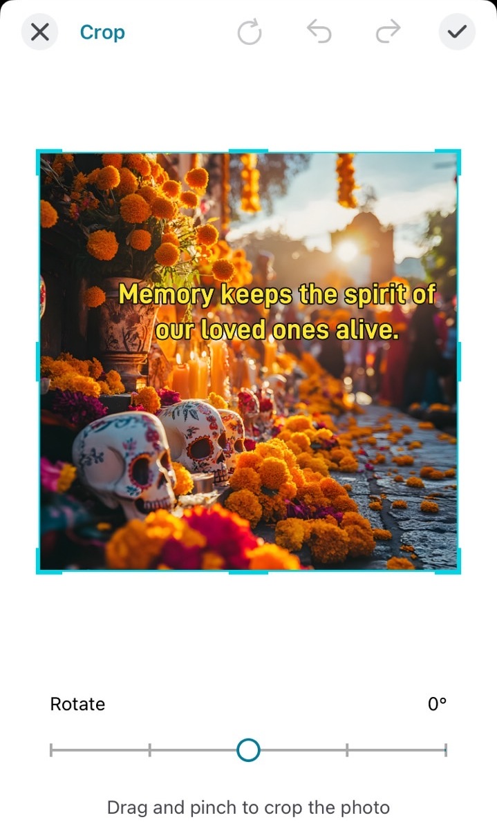 How to Make Day of the Dead Content with Quotes Using Promeo