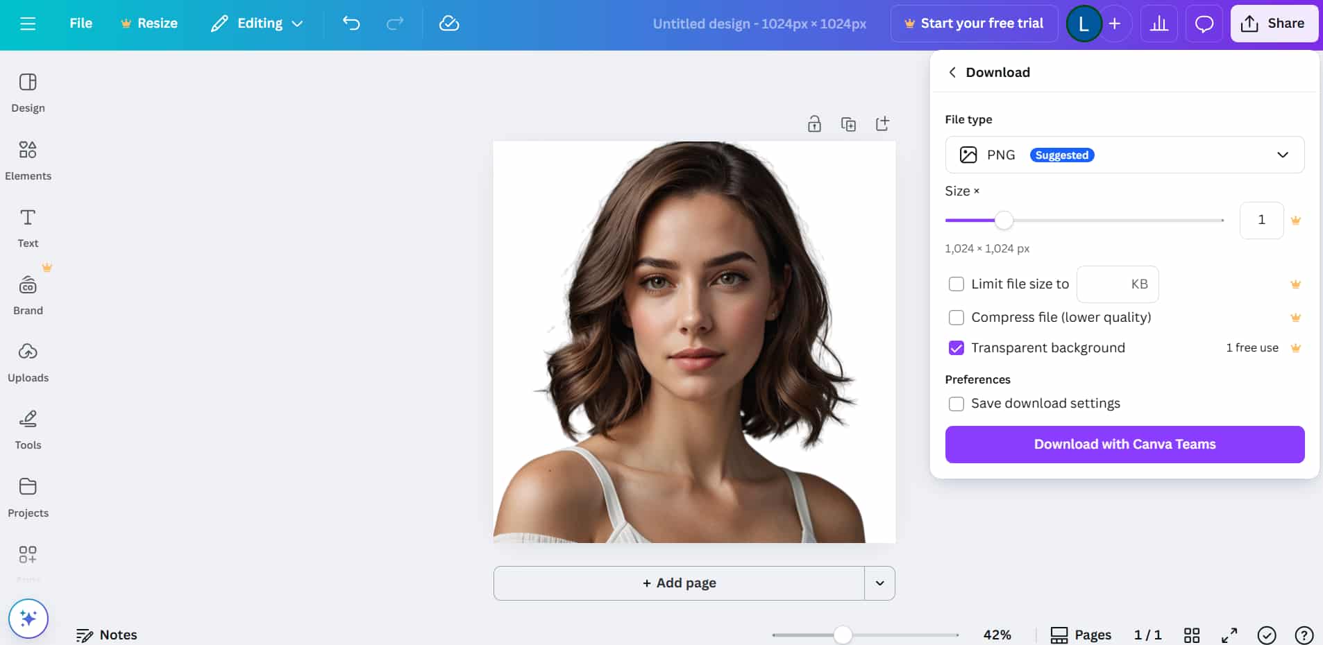 Interfaz de la herramienta online Canva