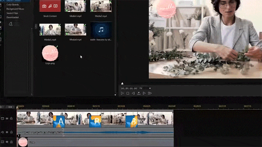 PowerDirector - Basic Editing