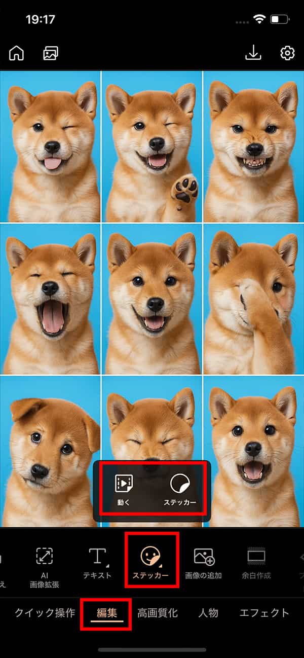 犬証明写真アプリで加工する方法2