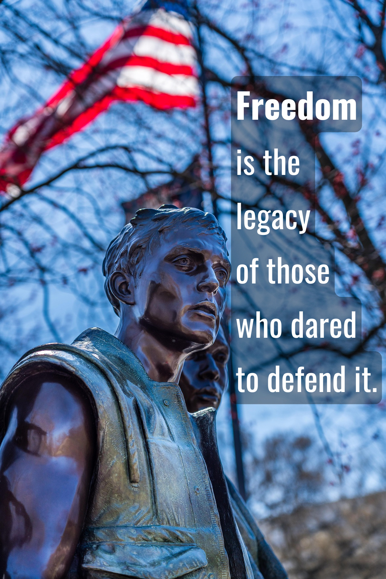 Veterans Day Quotes About Freedom and Sacrifice