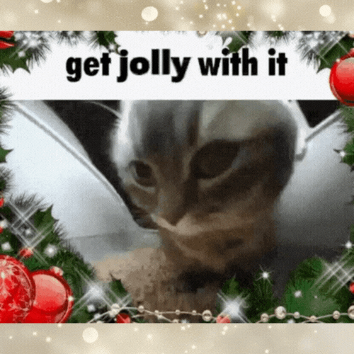 2025 Funniest Christmas Memes & GIFs: Get Jolly With It