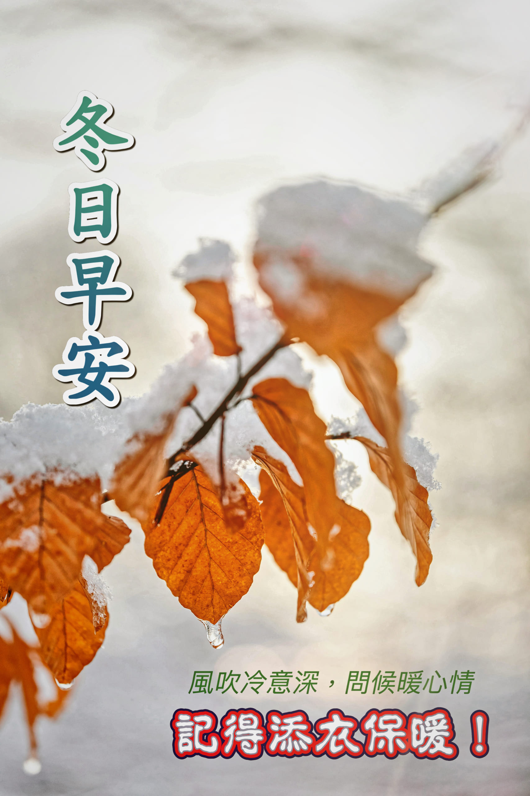 天氣冷早安圖免費下載