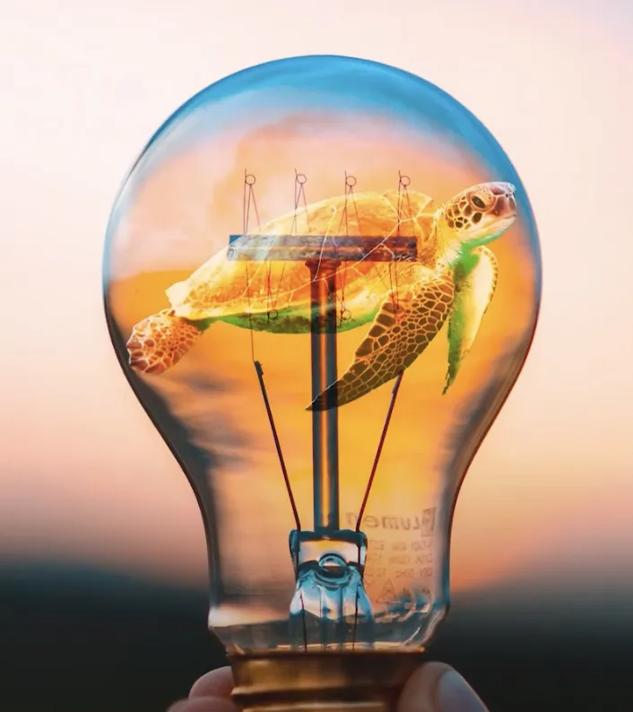 PhotoDirector interface