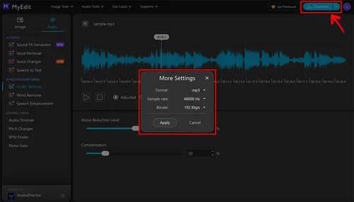 AudioDirector Interface - Advanced Noise Gate