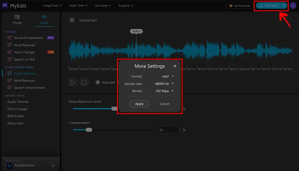 AudioDirector Interface - Advanced Noise Gate