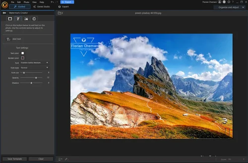 PhotoDirector Watermark Tool Interface