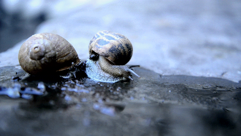 resultat pour accelerer une video entierement avec powerdirector