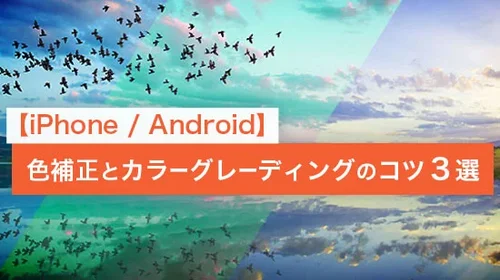 【無料】色補正とカラーグレーディングができるおすすめアプリとコツ３選【iPhone / Android】