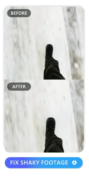 PowerDirector Interface