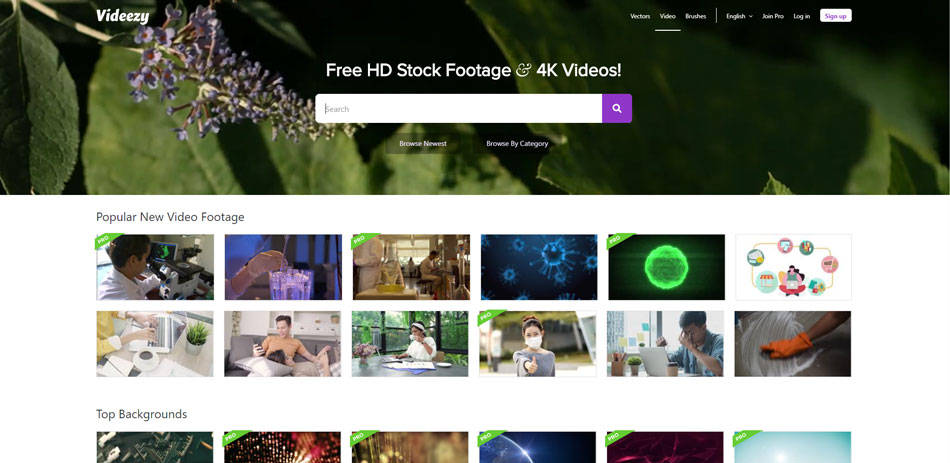 screenshot der Videezy website