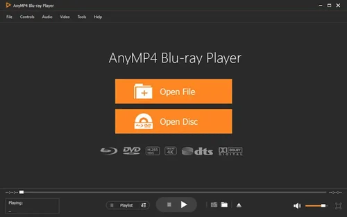 AnyMP4 Interface